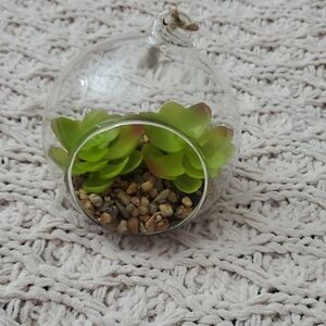 Glass Terrarium with Green Succulents